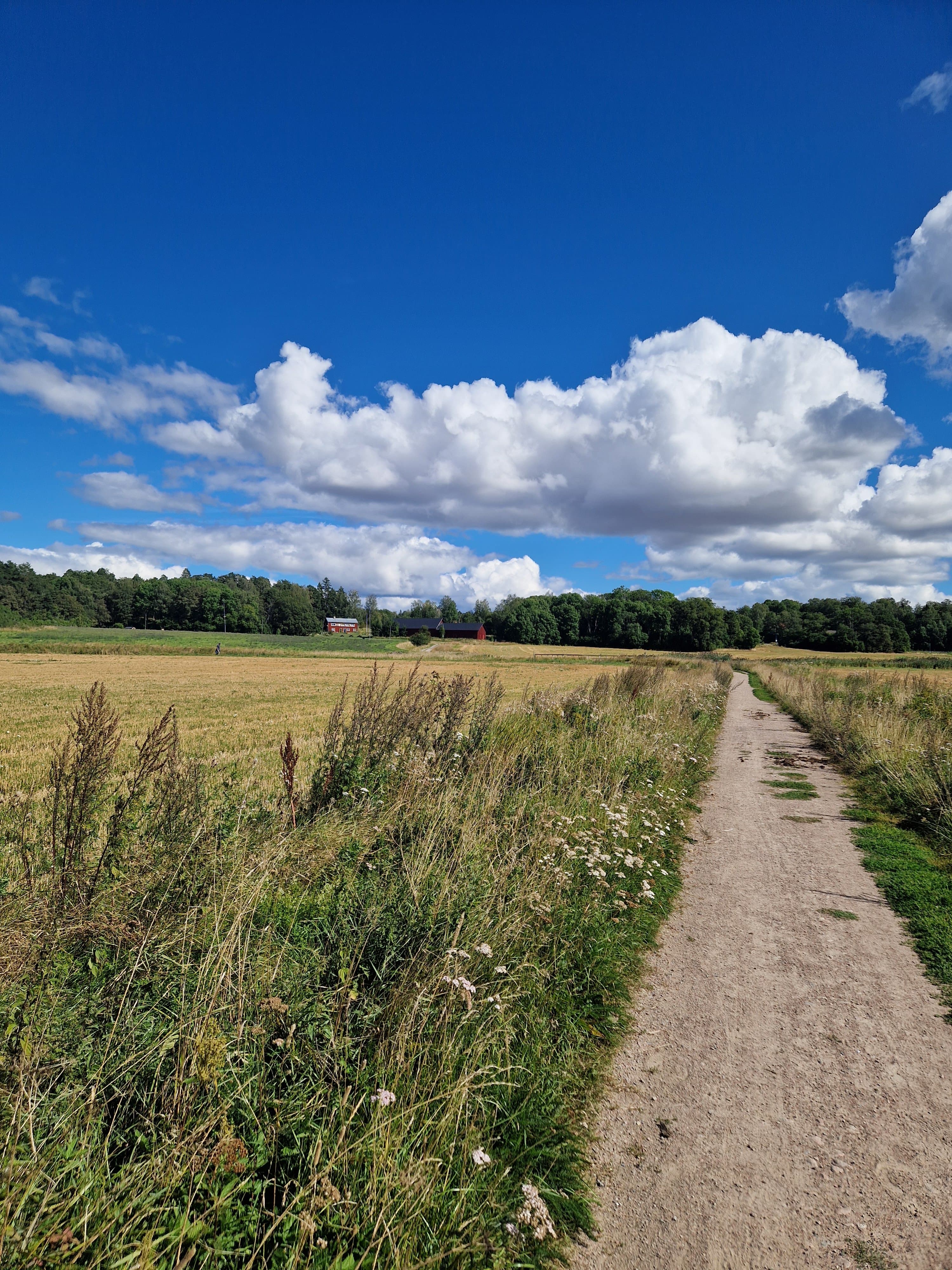 August Södermans väg
